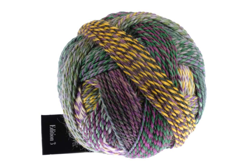 Schoppel Zauberball®Edition 3.0 - BONIFAKTUR - 2474 Nachbars Garten - Schoppel Schoppel Zauberball®Edition 3.0 2474 Nachbars Garten