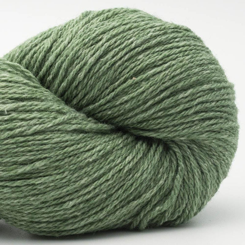 BC Garn Bio Balance (GOTS) - BONIFAKTUR - 03 Gras - BC Garn BC Garn Bio Balance (GOTS) 03 Gras